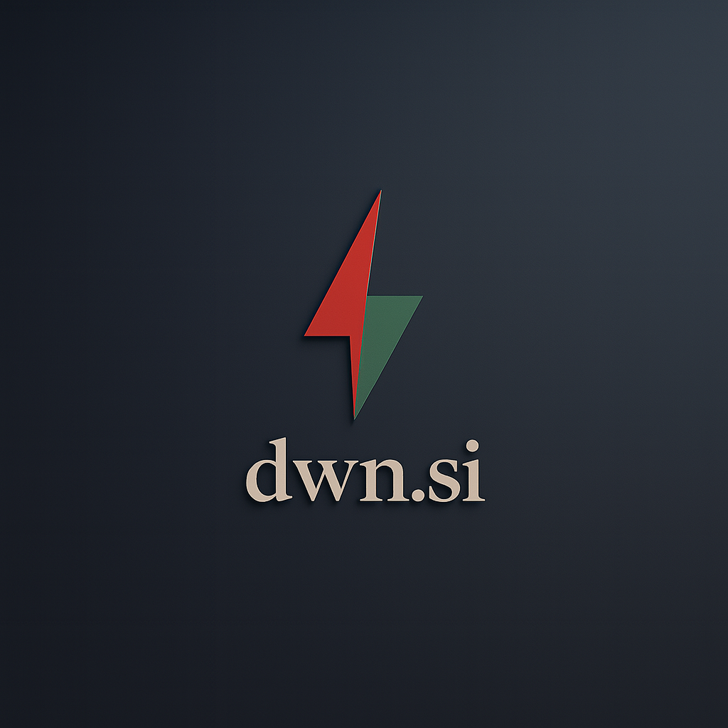 dwn.si Logo